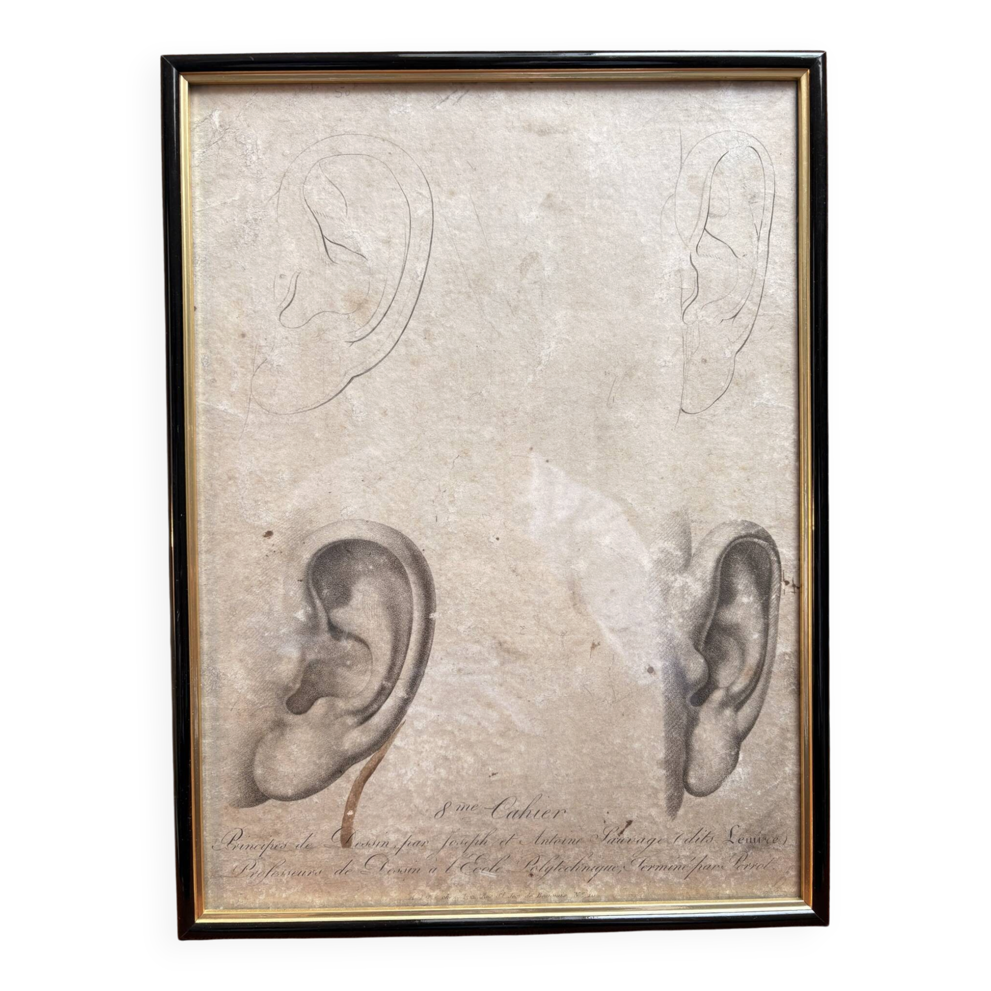 Print Engraving Study Sketch Ear by Lemire Polytechnical School Perrot