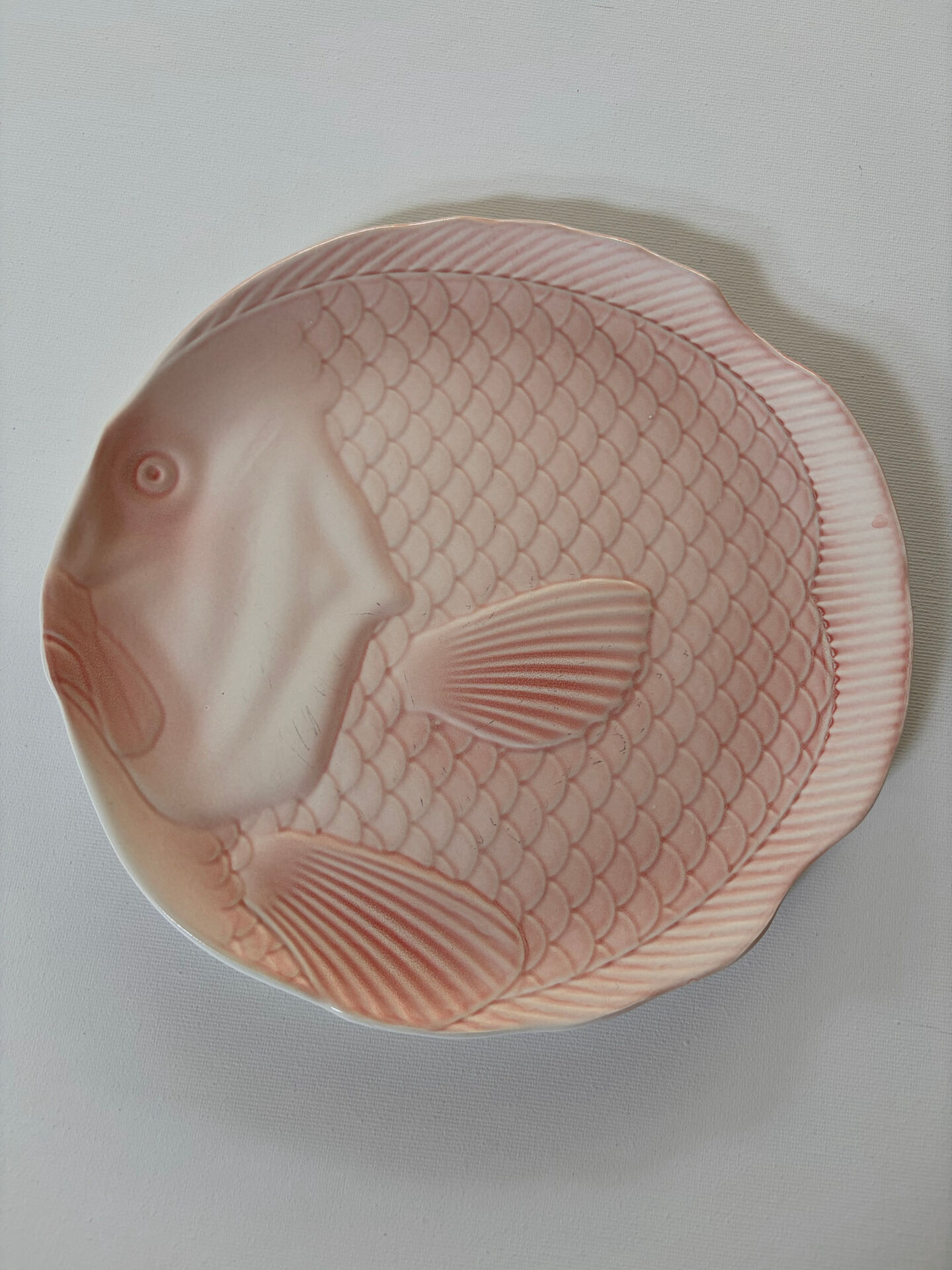 Service poisson Salins les Bains  assiettes plat et saucière