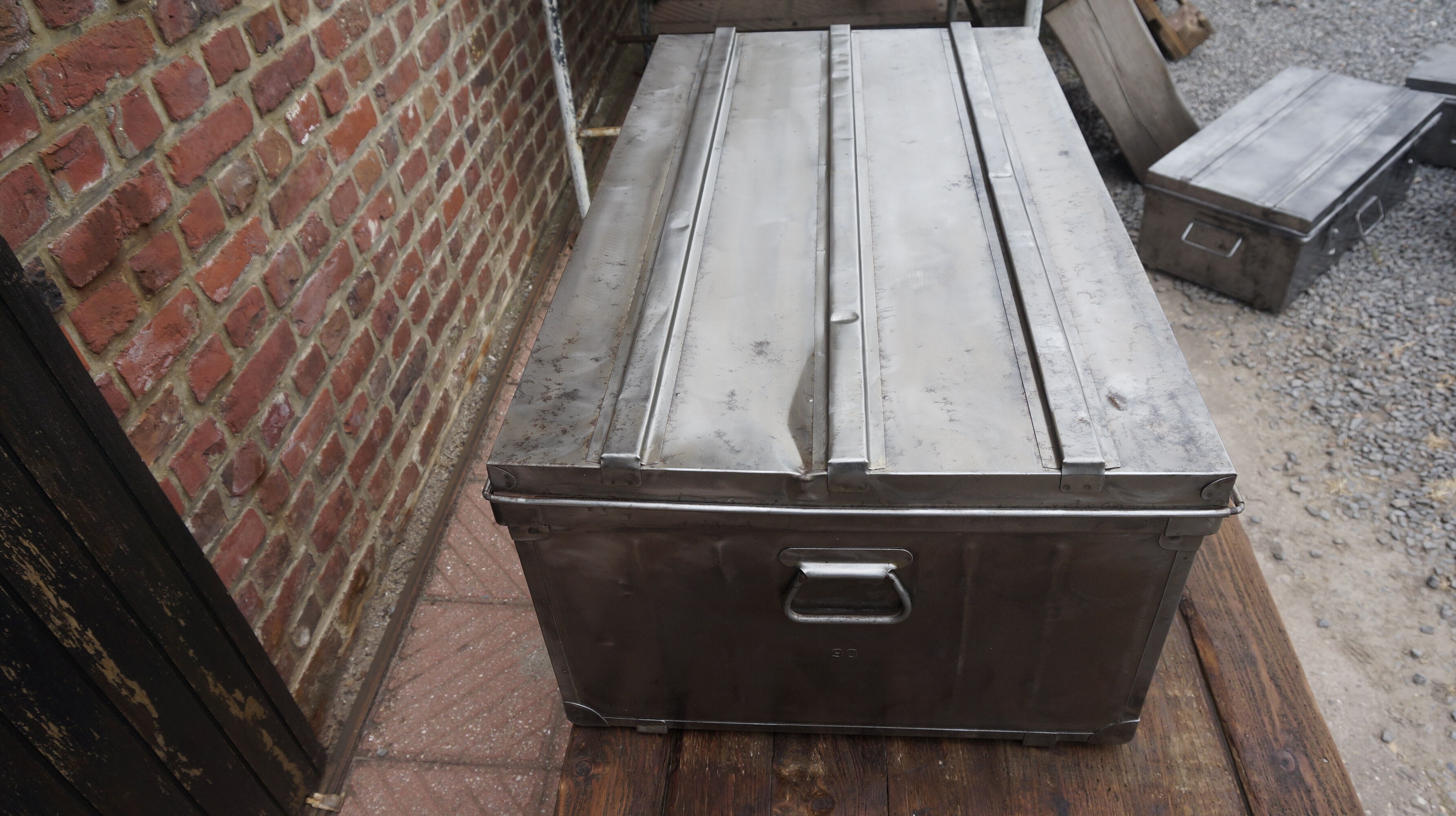 Trunk in metal brush