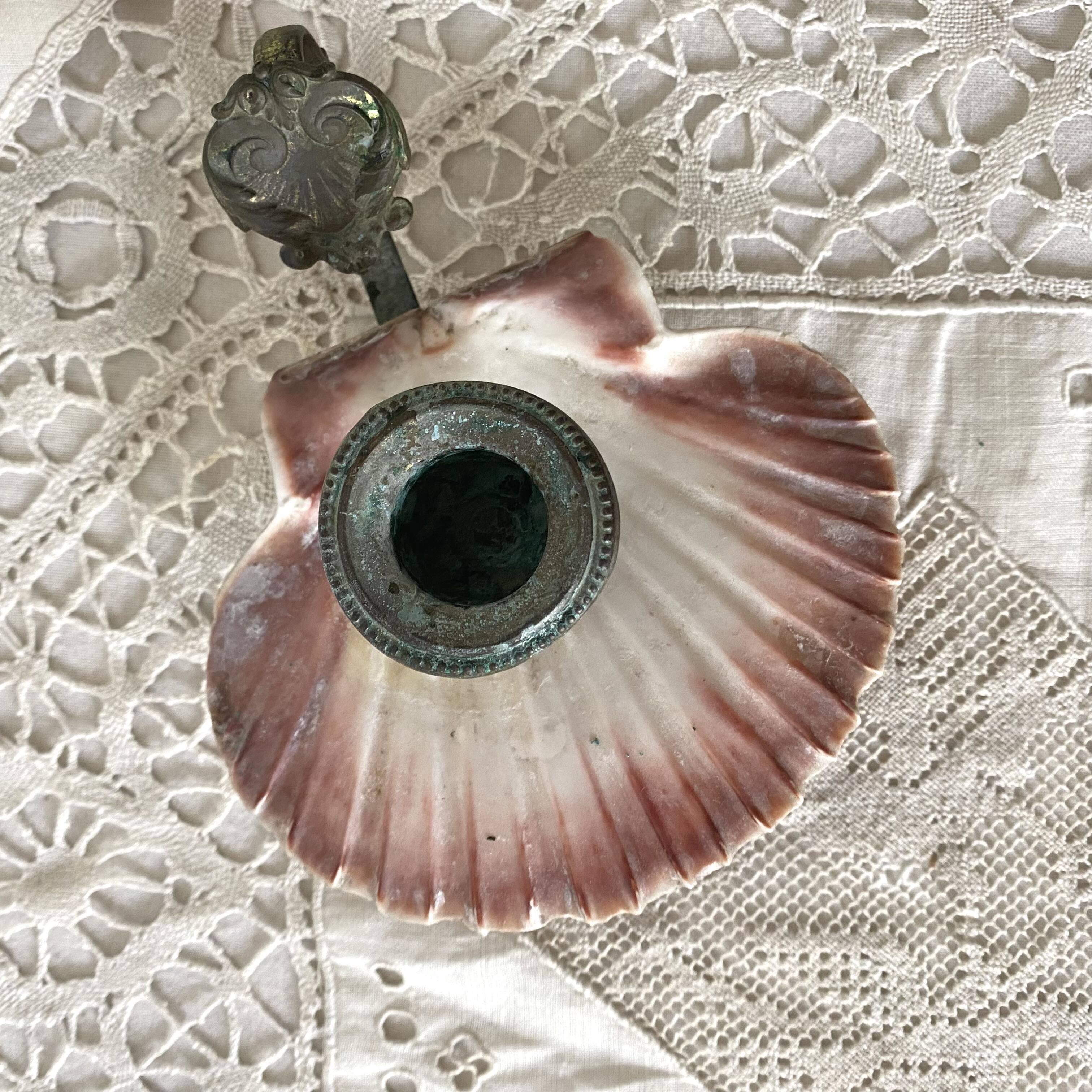 Scallop shell and lion paws candle holder