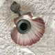 Scallop shell and lion paws candle holder