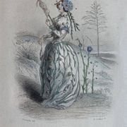 Lot 2 framed engravings "animated flowers" JJ Grandville: Linen and Tulip
