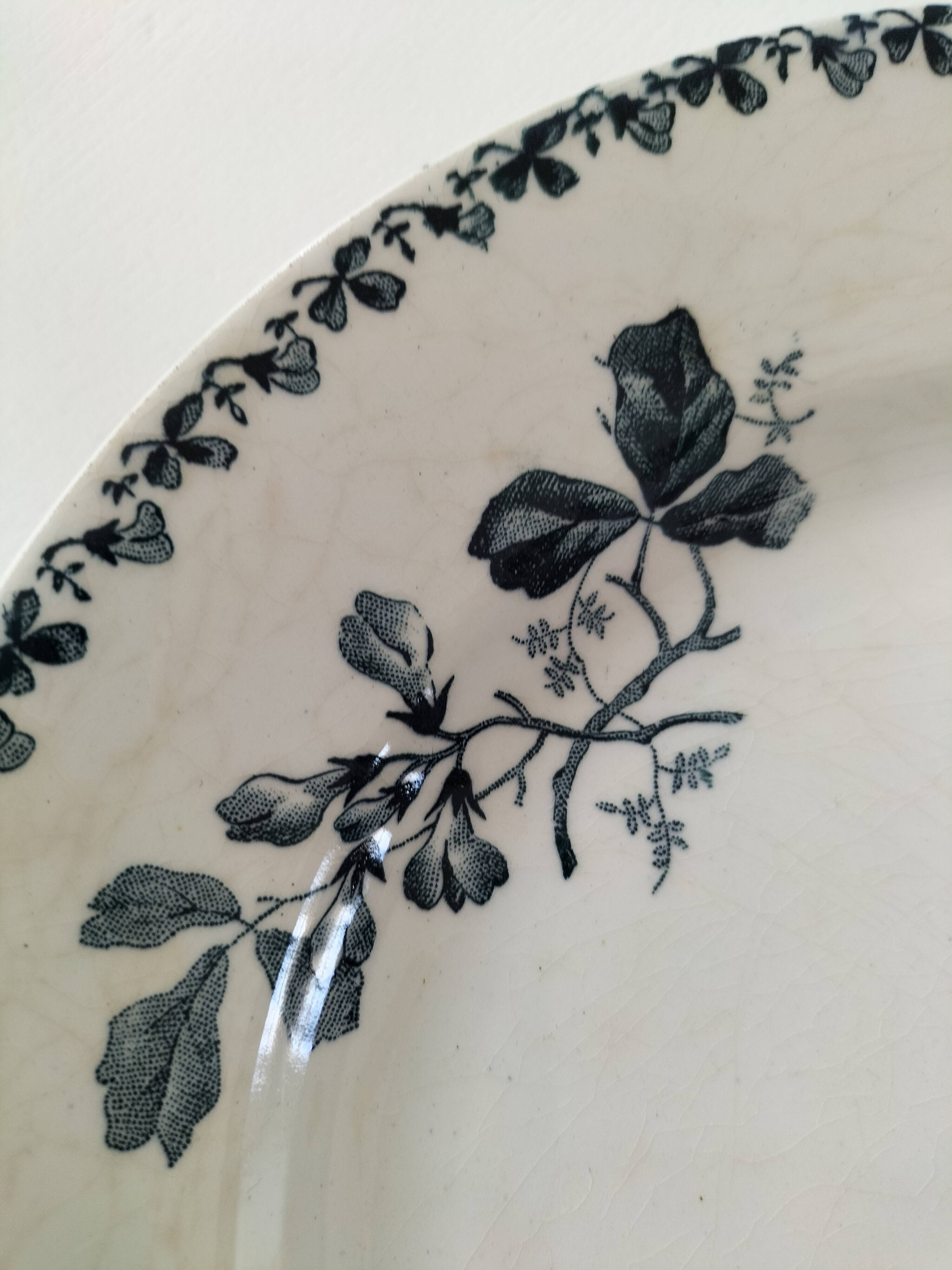 Set of 10 ironstone plates Moulin des Loups Acacia