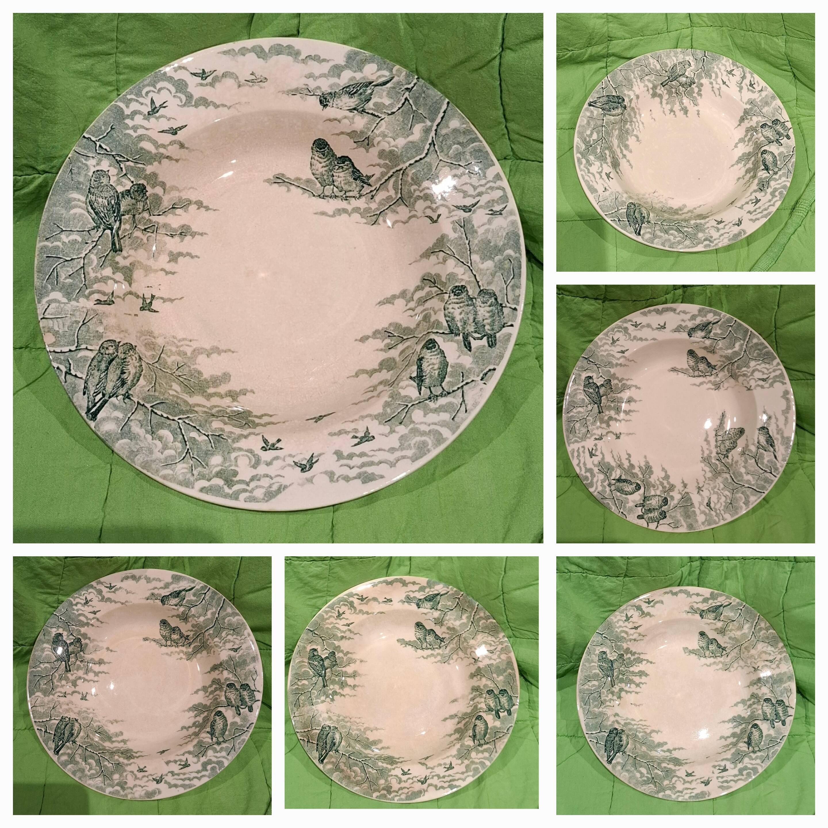 Sarreguemines Snow 6-Person Dinnerware Set