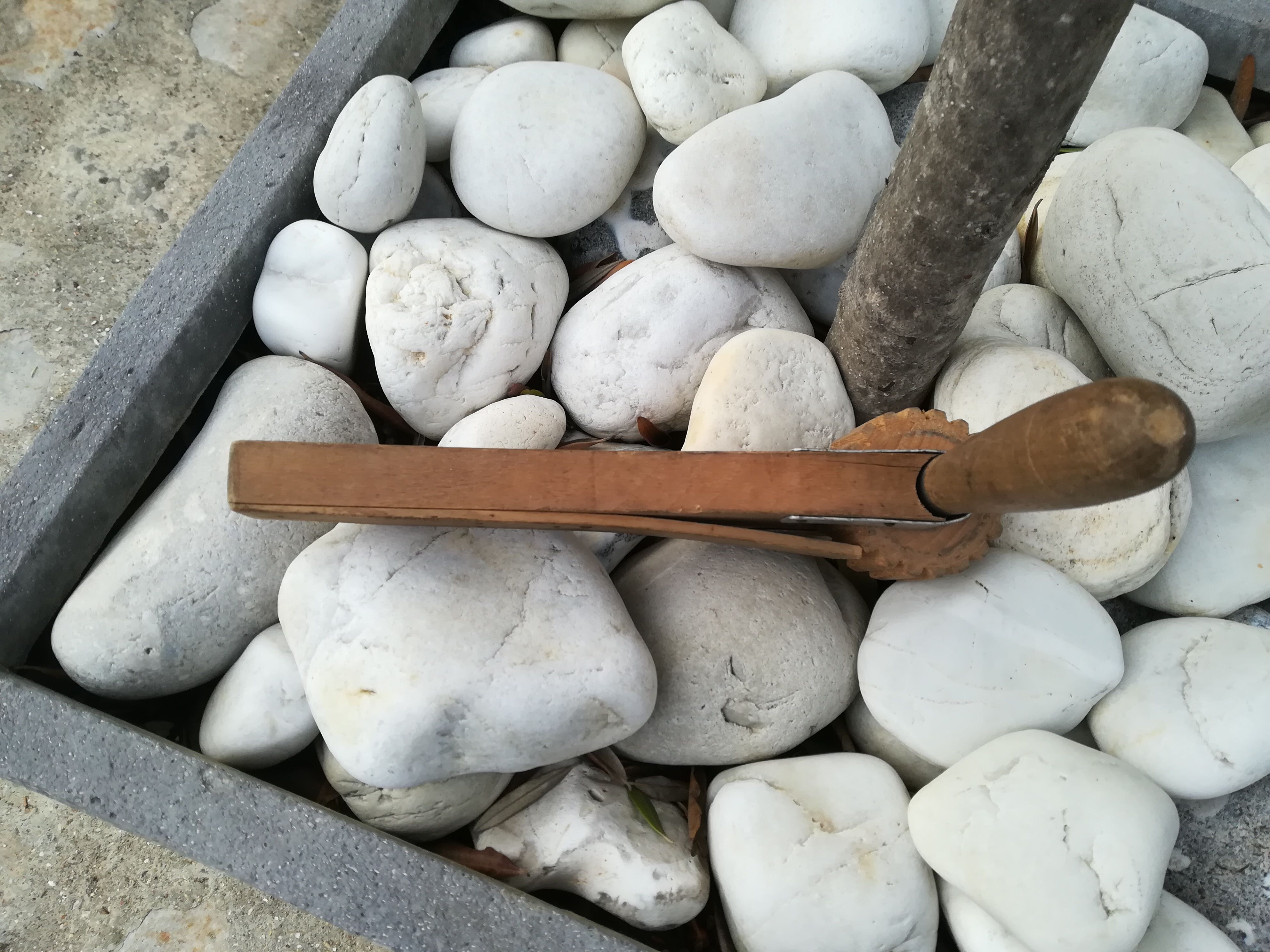 Wooden crecelle