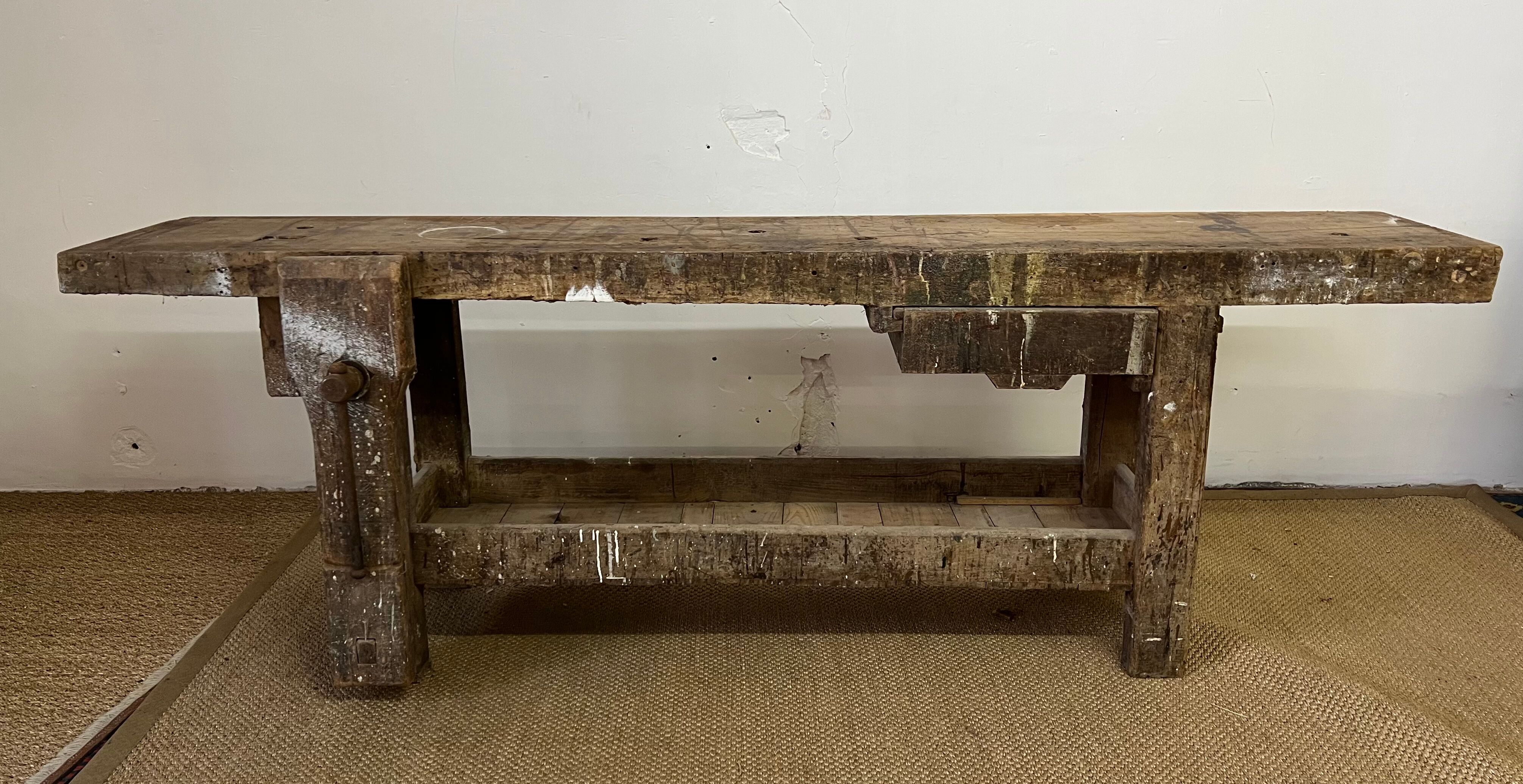 Established in old wood