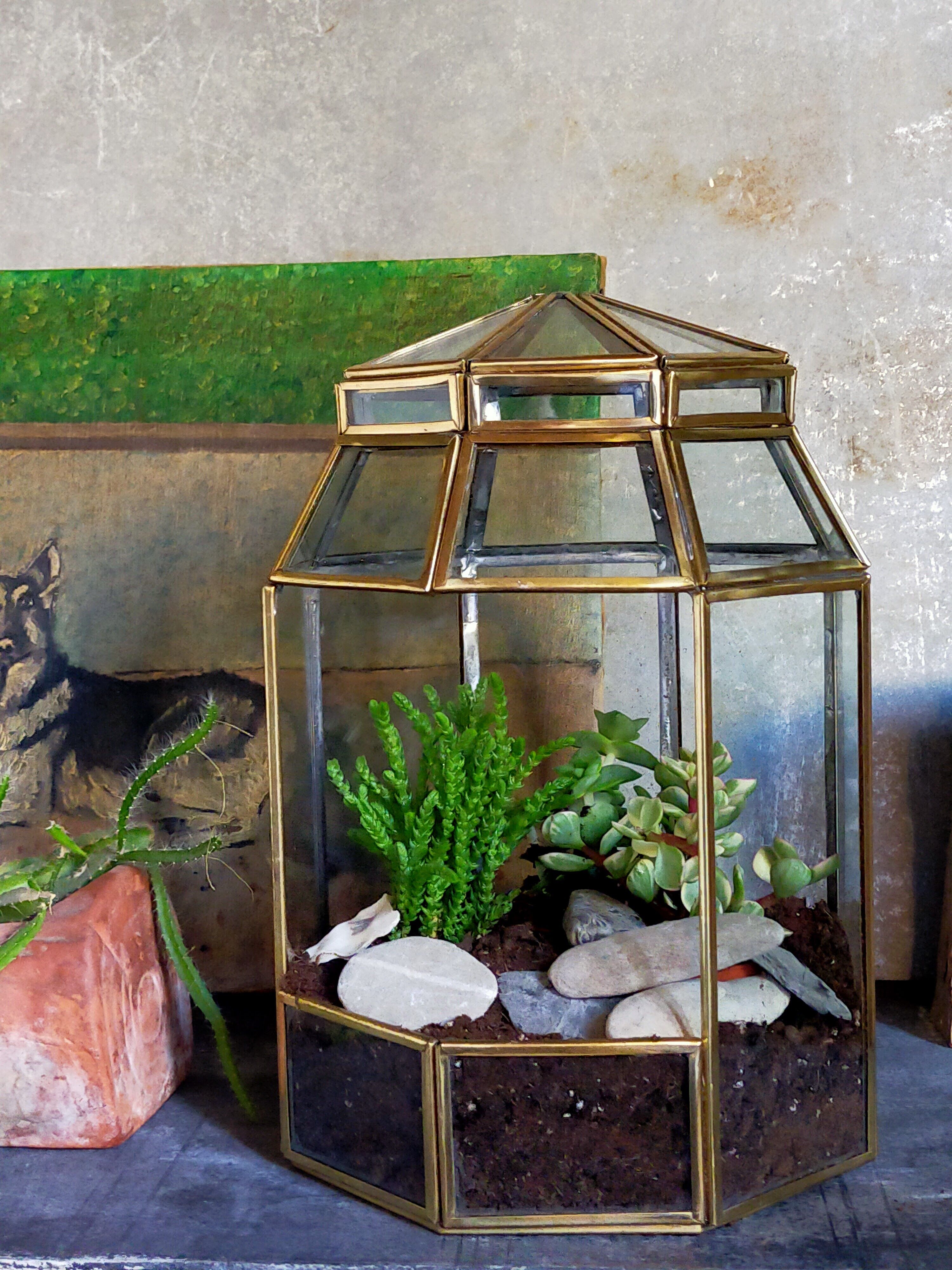 Indoor greenhouse-terrarium in brass
