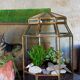 Indoor greenhouse-terrarium in brass