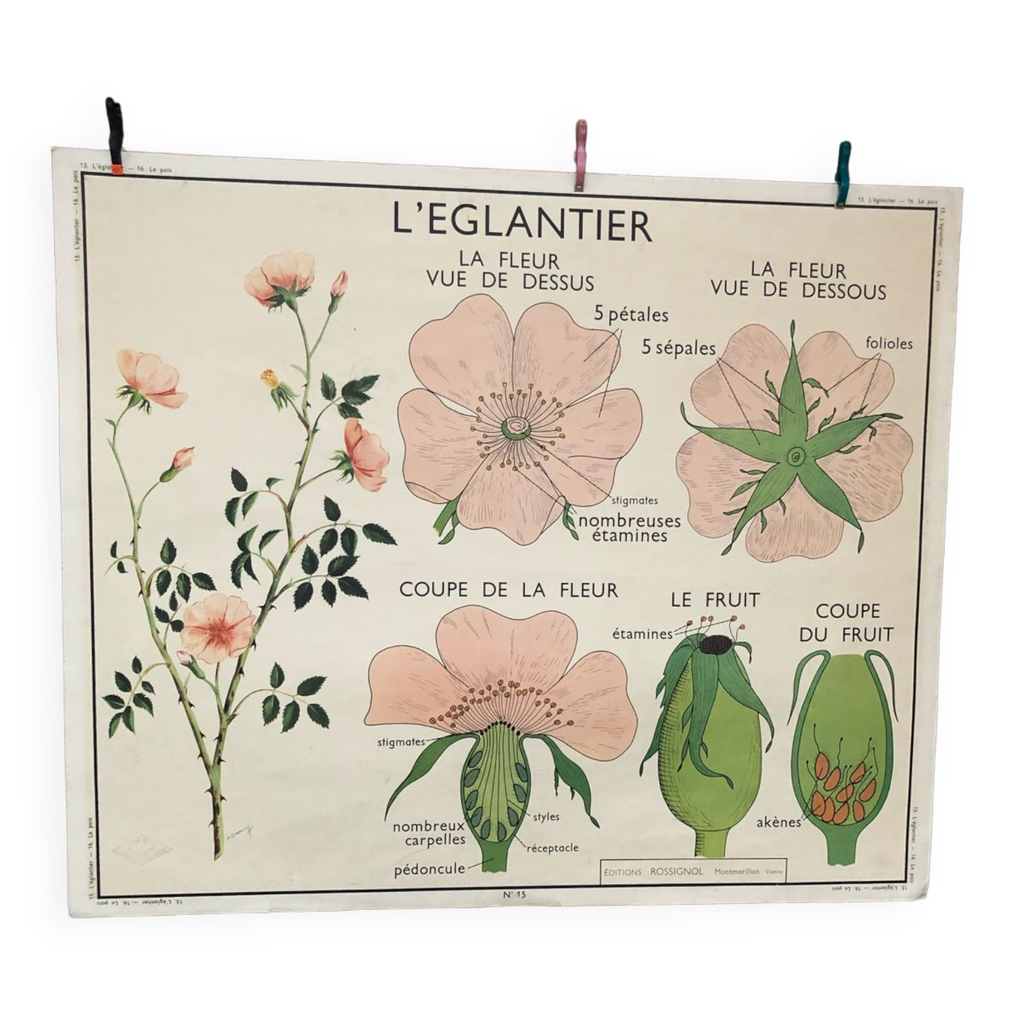 Old double-sided Rossignol school poster