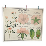 Old double-sided Rossignol school poster