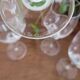 Set of 5 Royales de Champagne wine glasses