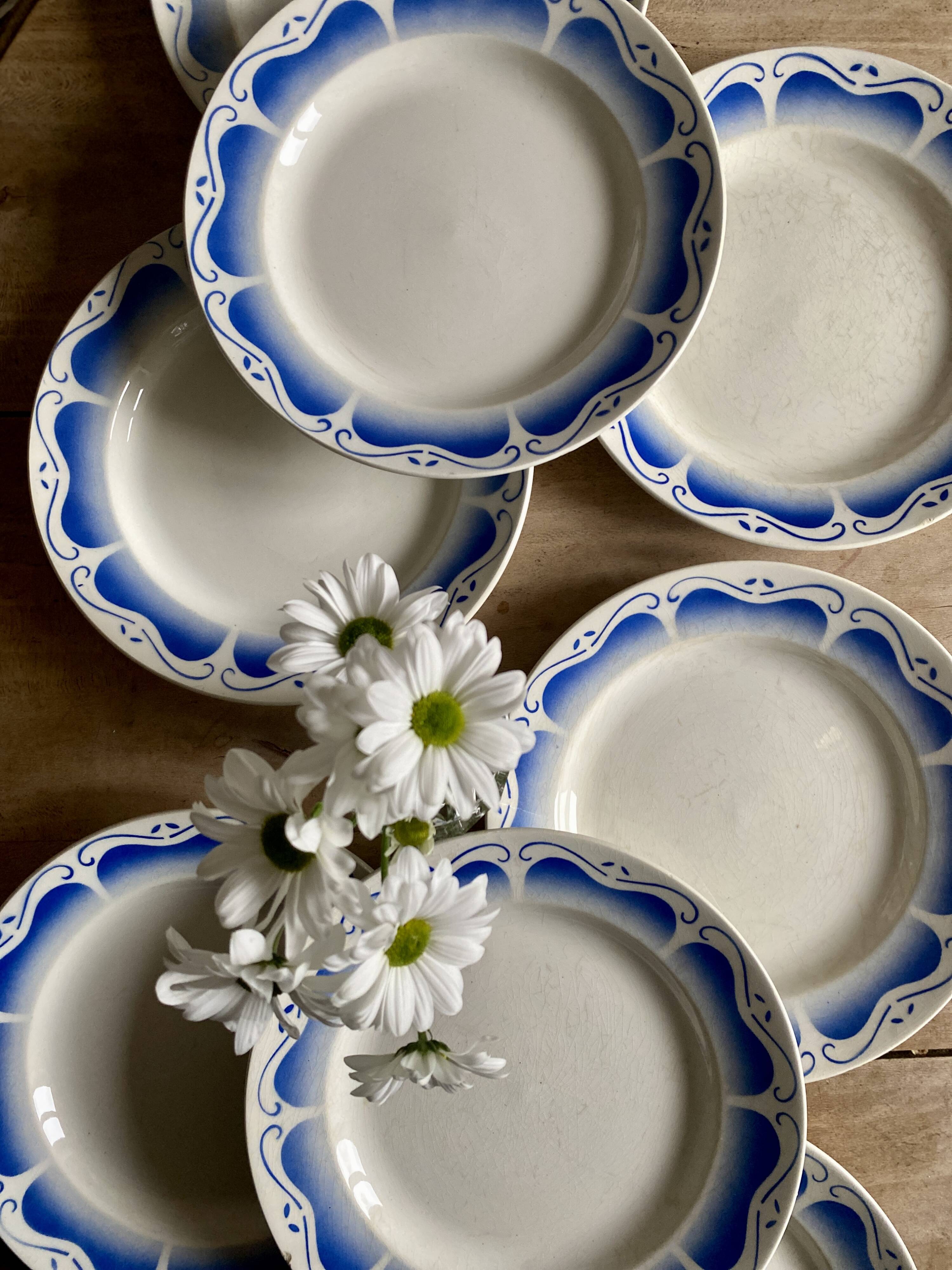 Set of 8 vintage dinner plates