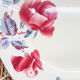 Lot de 4 assiettes plates "boulogne" Digoin Sarreguemines