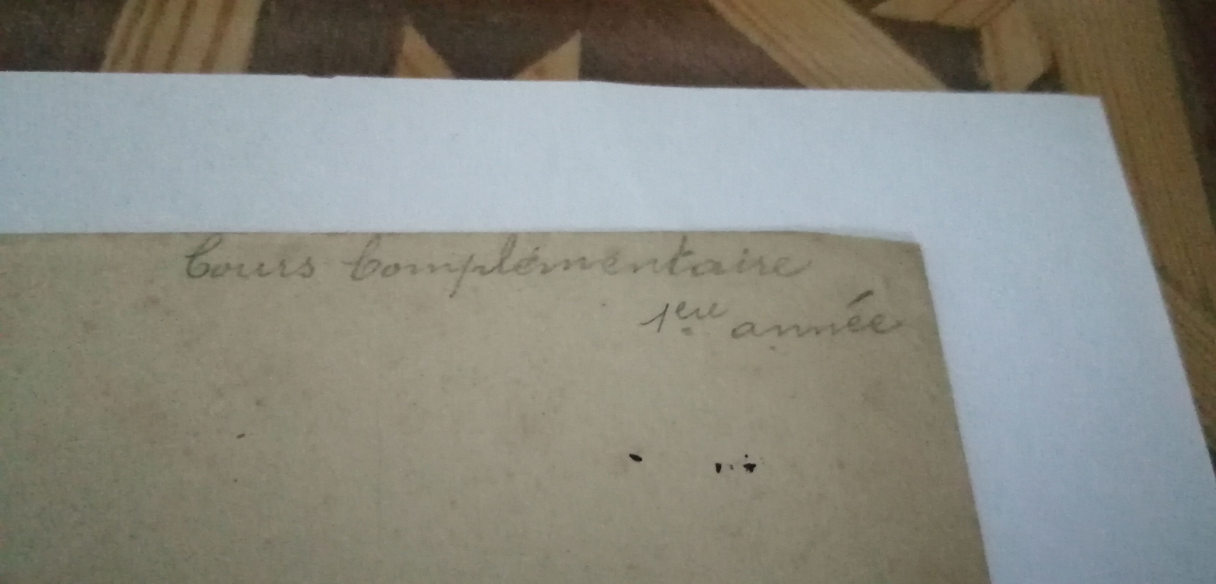 School drawing, study old 20s "onion / turnip"