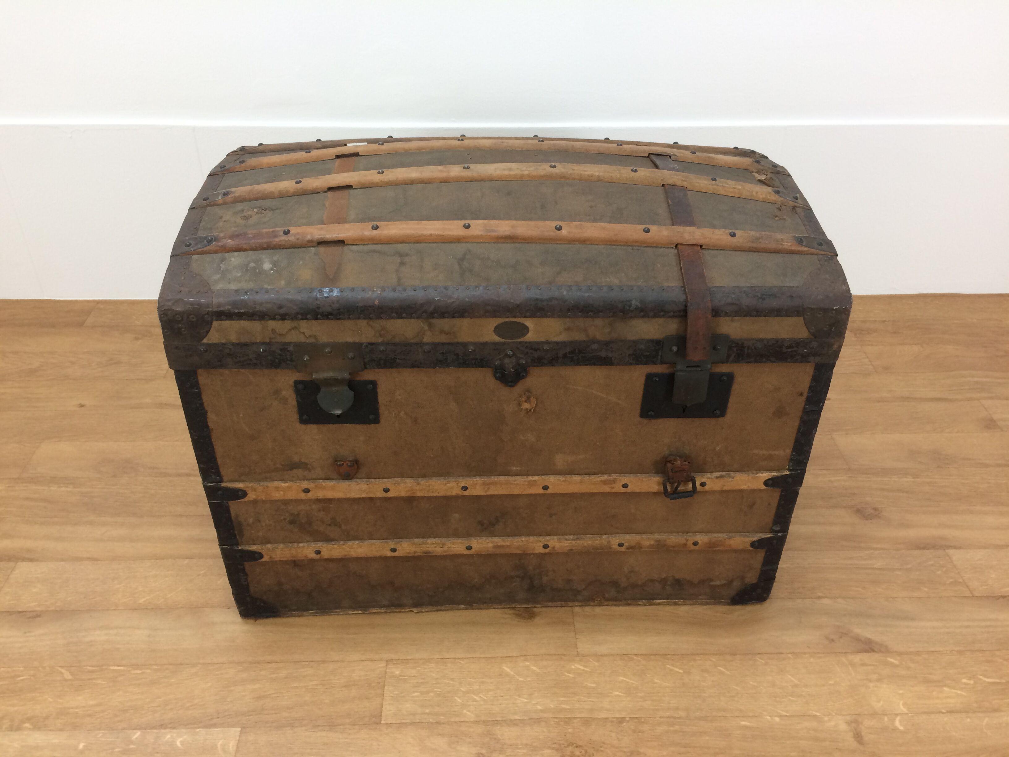 Bulging trunk at the tourist