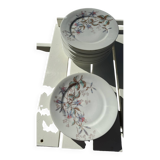 12 Dessert plates + presentation plate