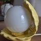 Porcelain and opaline shell lamp from the 70s-80s