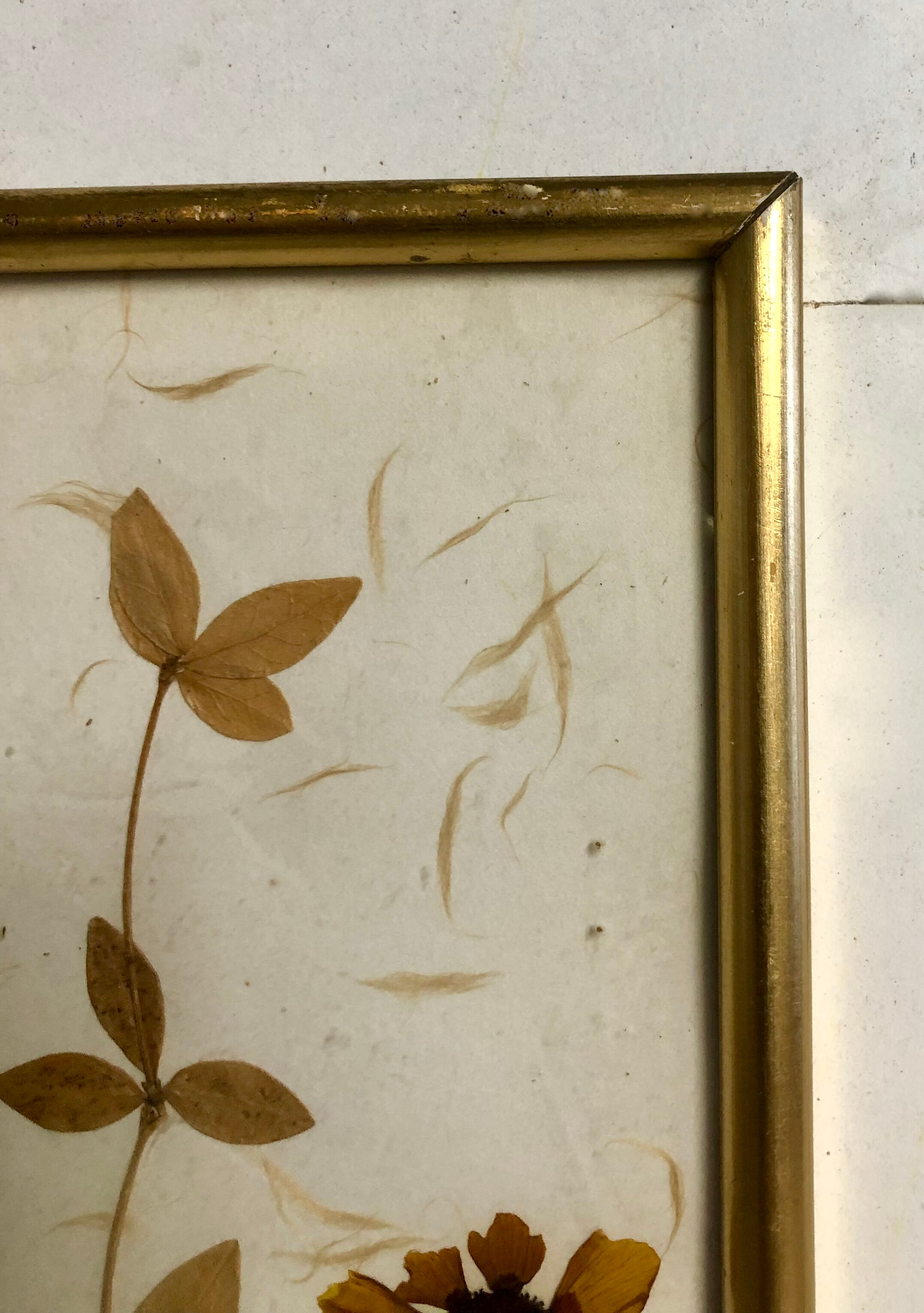 Old gilded frame