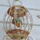 Vintage bird cage wall lamp