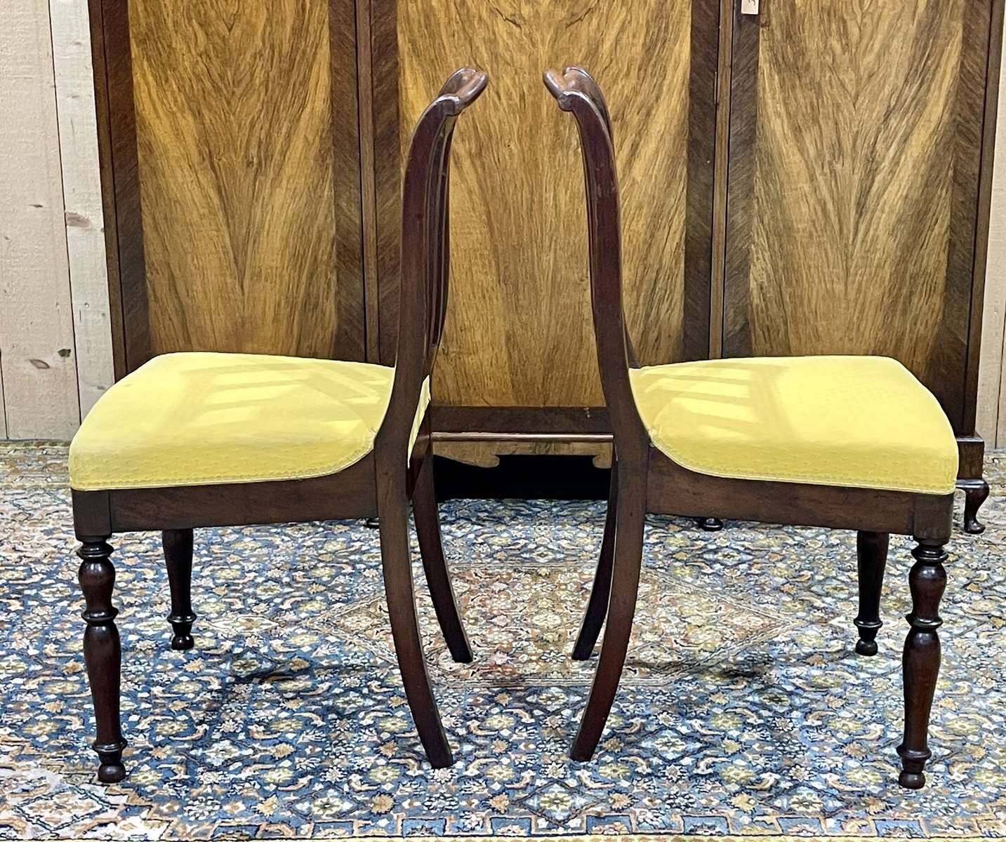 Pair of French mahogany chairs late 19th century