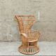 Fauteuil Gio Ponti Lio Carminati Bonacina