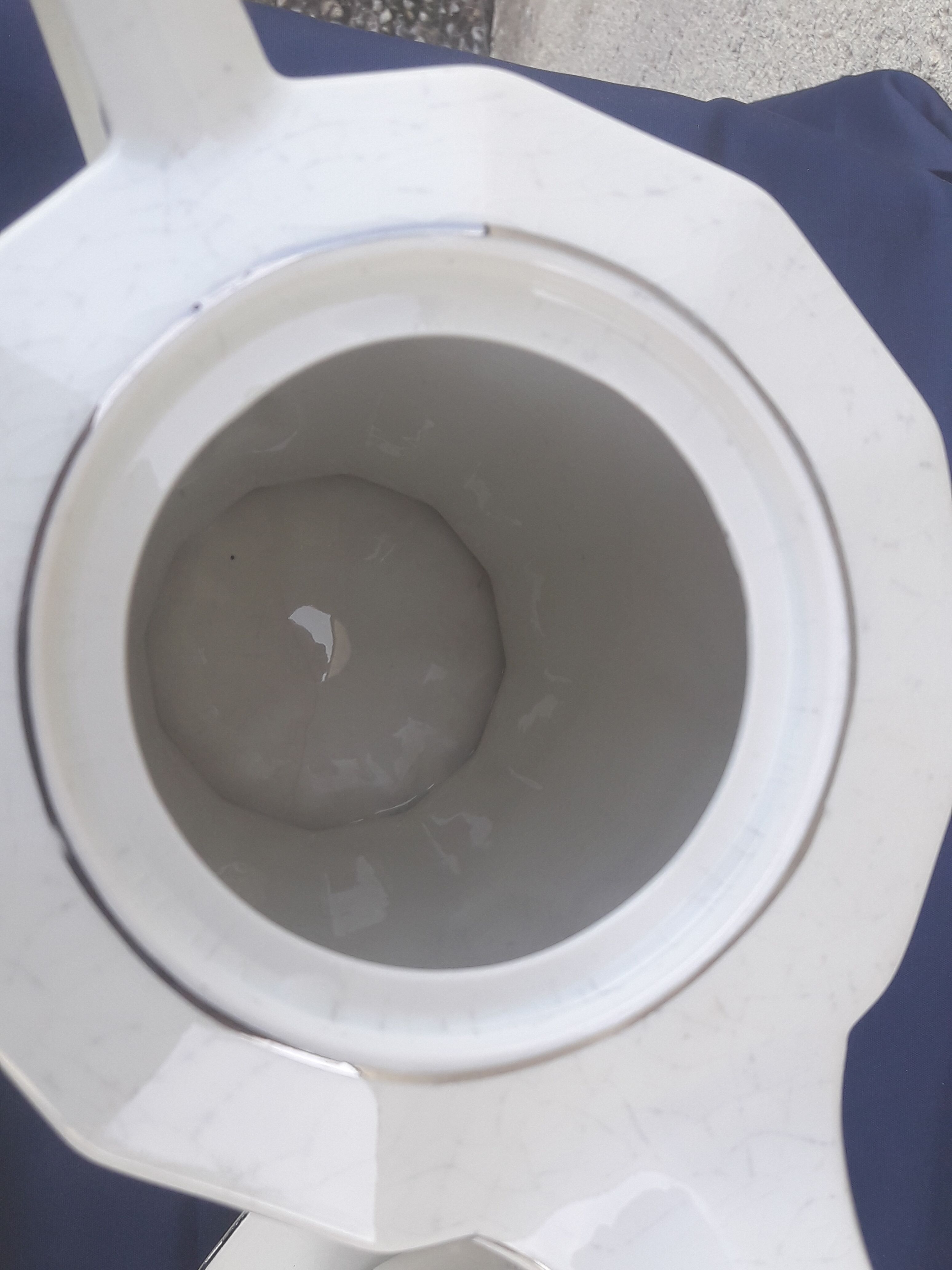 Czechoslovakia porcelain coffee service pattern blue flowers and red art deco flowers