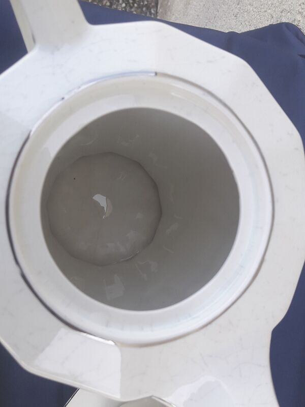 Service à café  en porcelaine Tchécoslovaquie motif fleurs bleues et rouges art déco