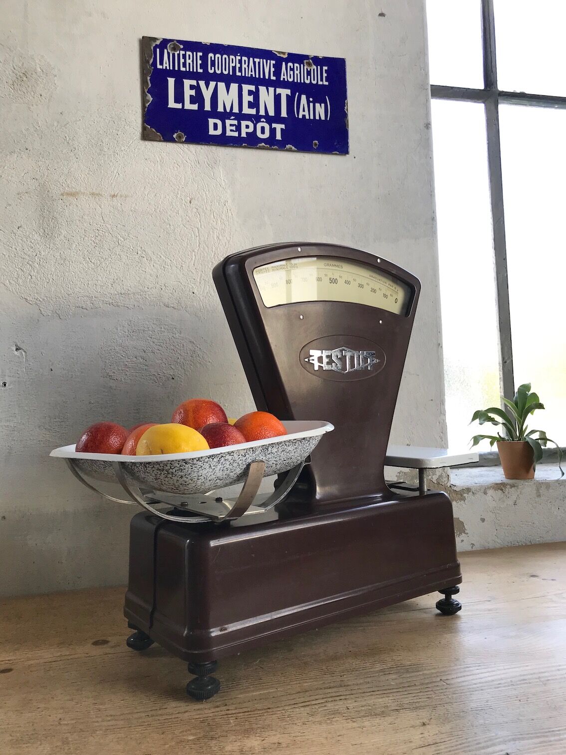 Testut scale in bakelite