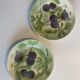 10 fruit decoration plates - St Clément - Barbotine - diam.21