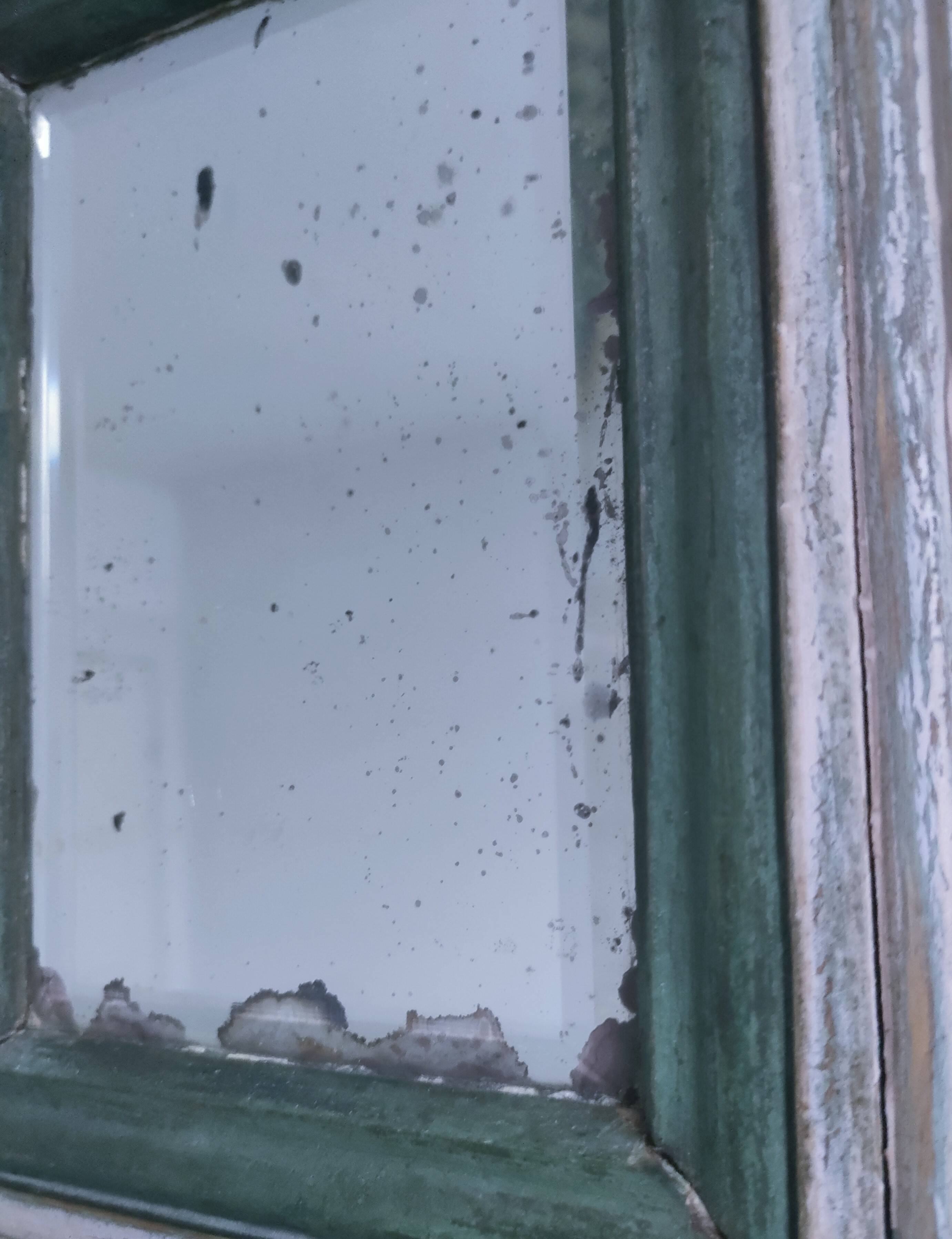 Beveled mirror patinated wood early 20th century