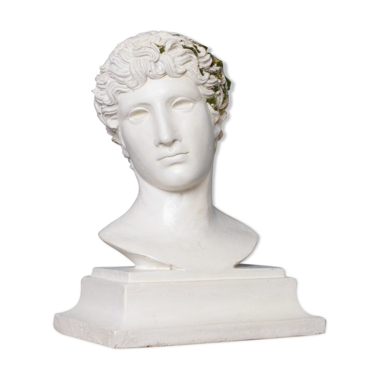 Roman head in waxed plaster
