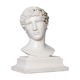 Roman head in waxed plaster