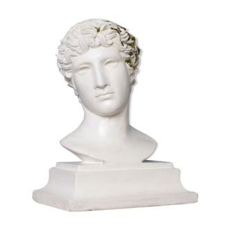 Roman head in waxed plaster