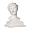 Roman head in waxed plaster