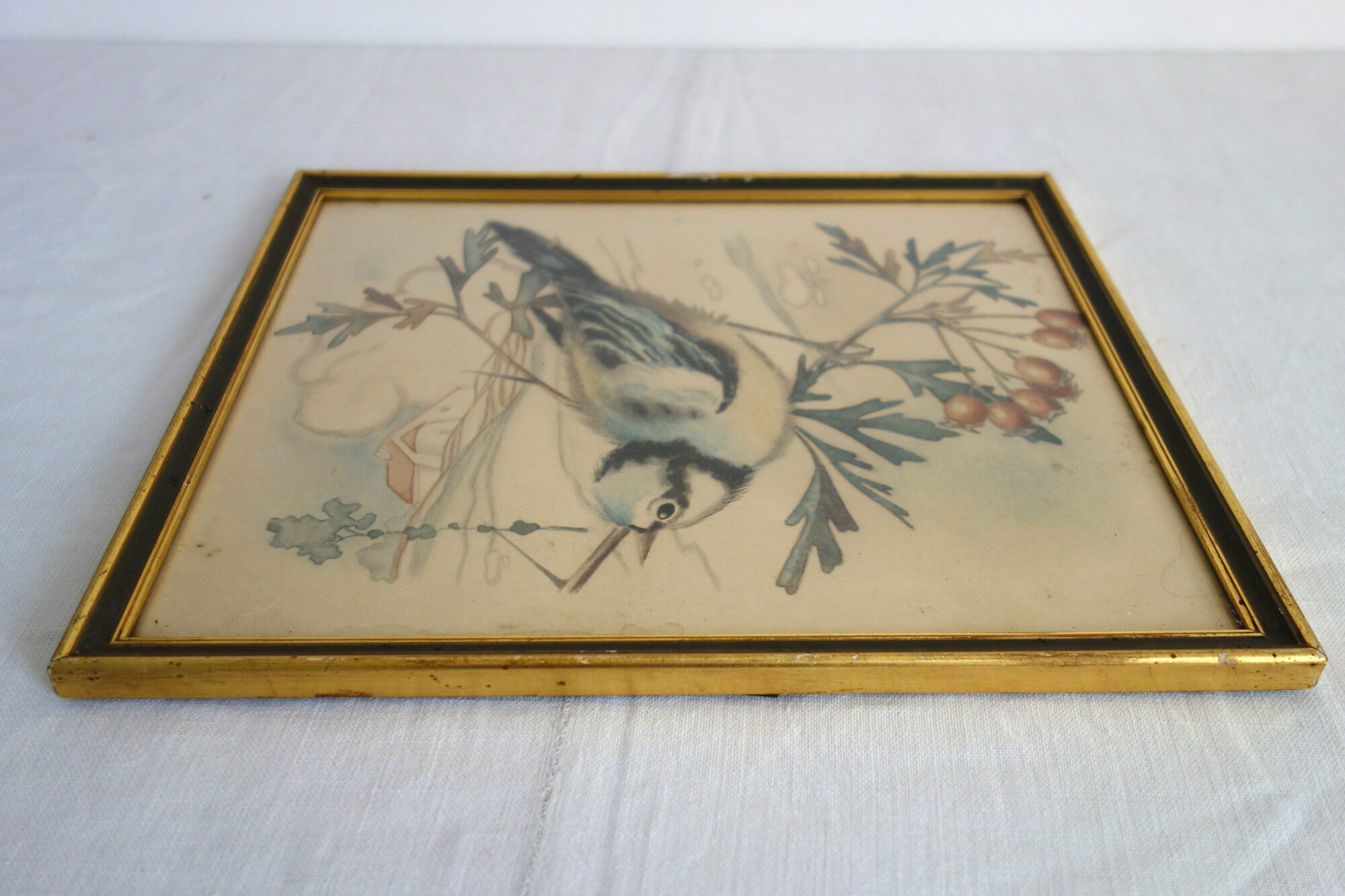 3 framed bird lithographs