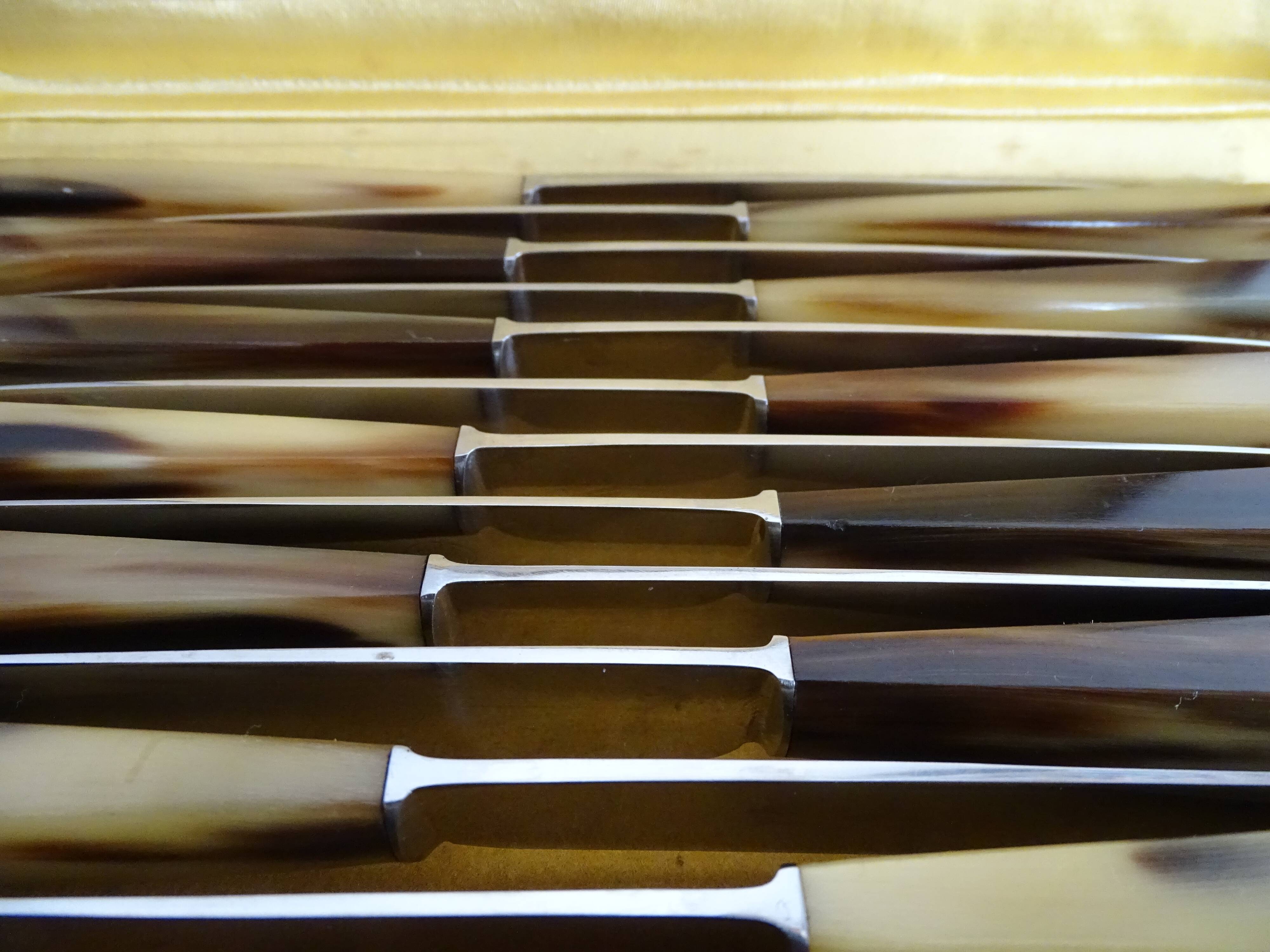 12 old Art Deco horn and stainless steel knives in case