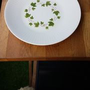 Plat à gâteau Ceranord