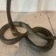 Pair of bronze sconces decorated with a snake XX century