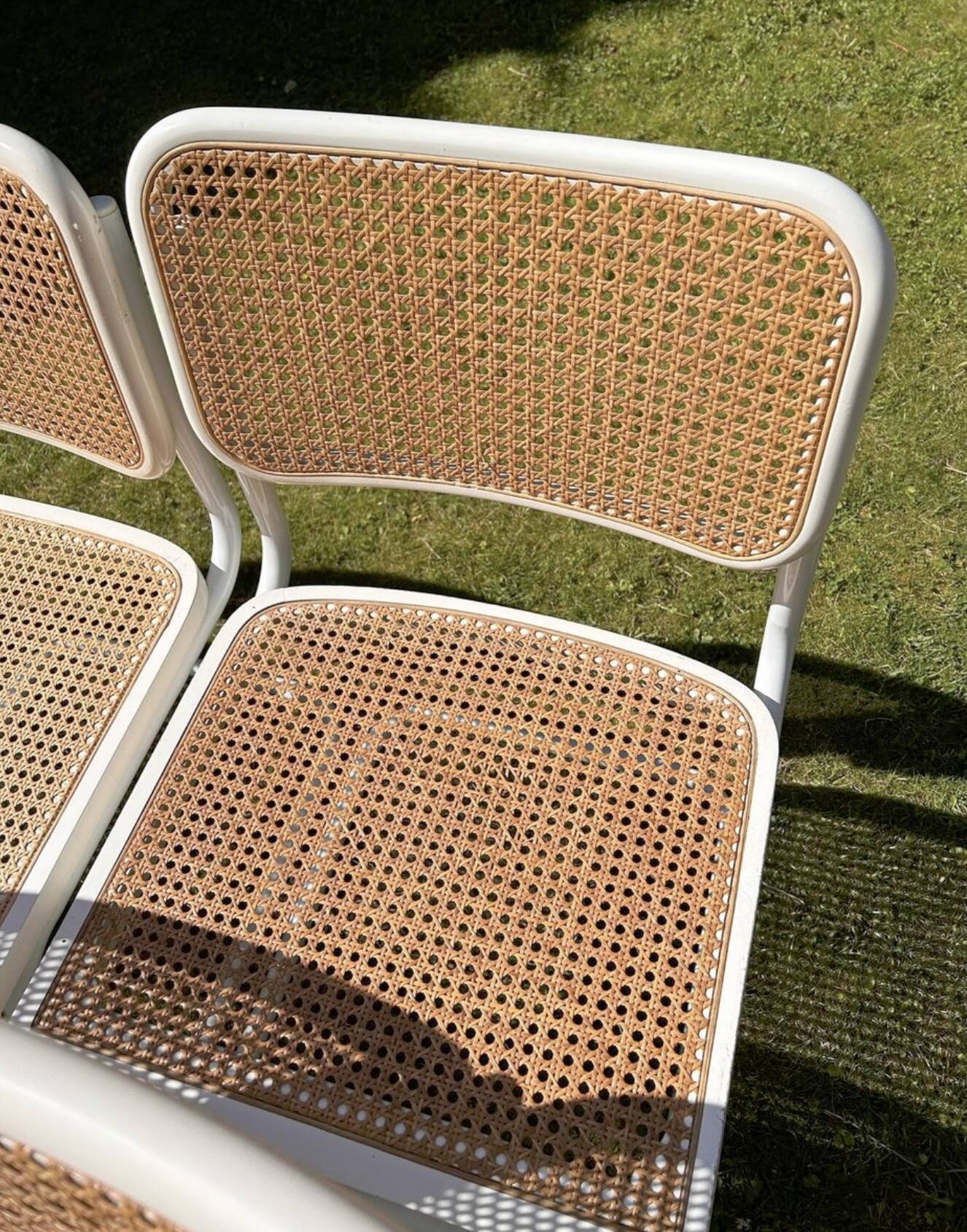 6 chaises Cesca