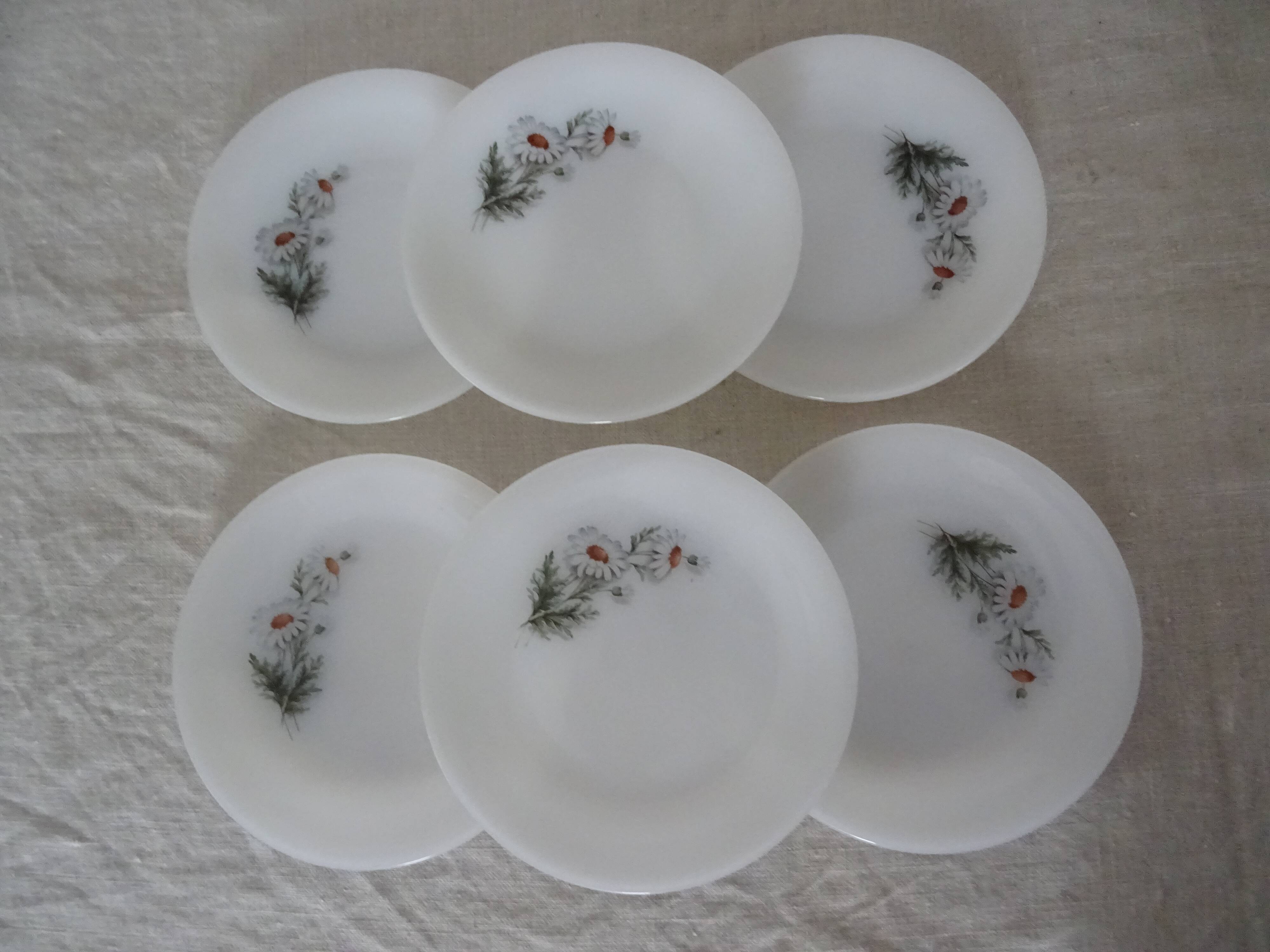 6 plates daisies flowers dessert arcopal 15992