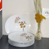 6 assiettes en porcelaine vintage a fleurs Bavaria