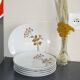 6 vintage porcelain plates with Bavaria flowers