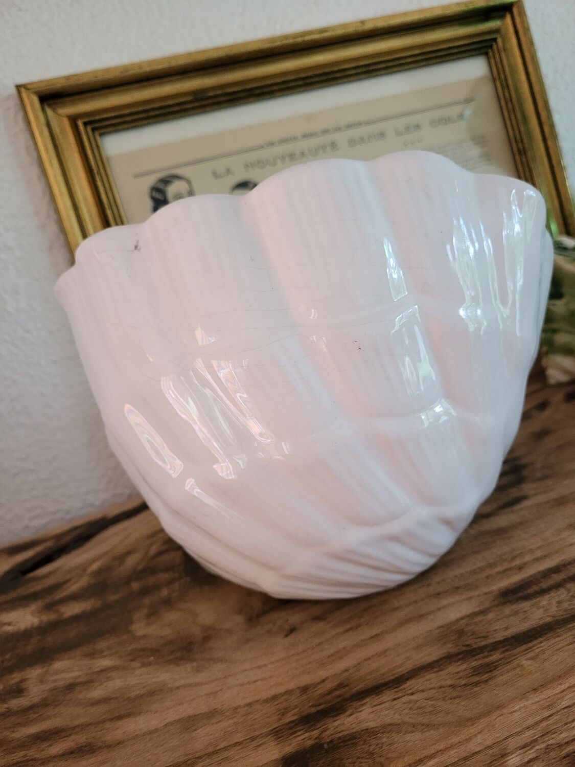 Shell pot holder