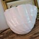 Shell pot holder
