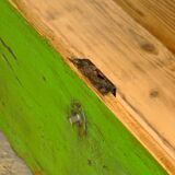 Antique Pine Bench, 1930’s