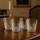 Crystal whisky glasses from Saint Louis, set of 4