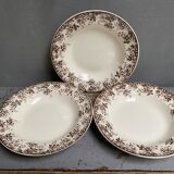 Old hollow plates earthenware of Sarreguemines