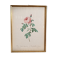 Frame Litho rose Bordeaux