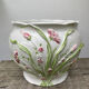 White ceramic pot cache of flower slip and old green foliage
