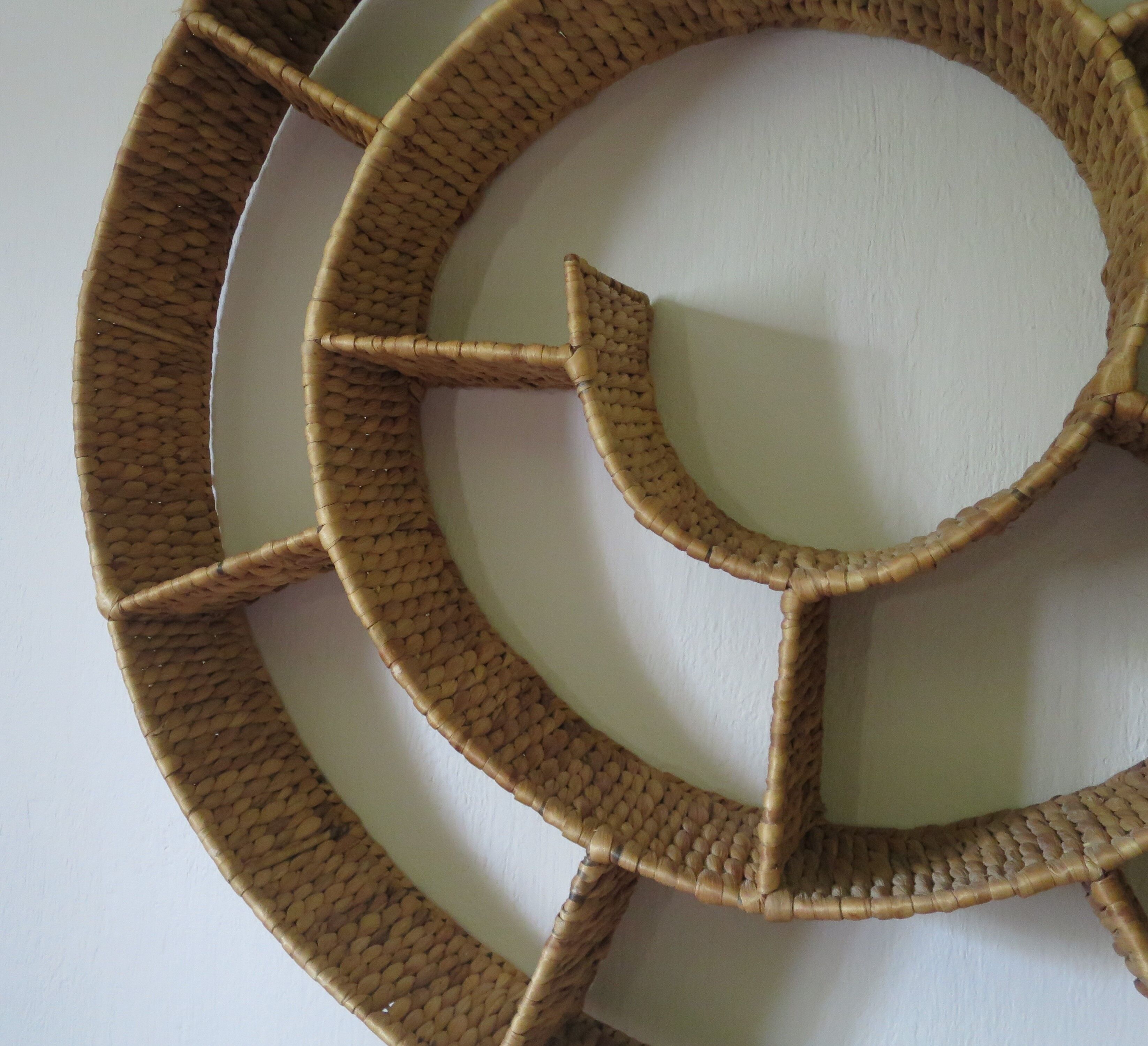 Round snail spiral shelf in sea rush